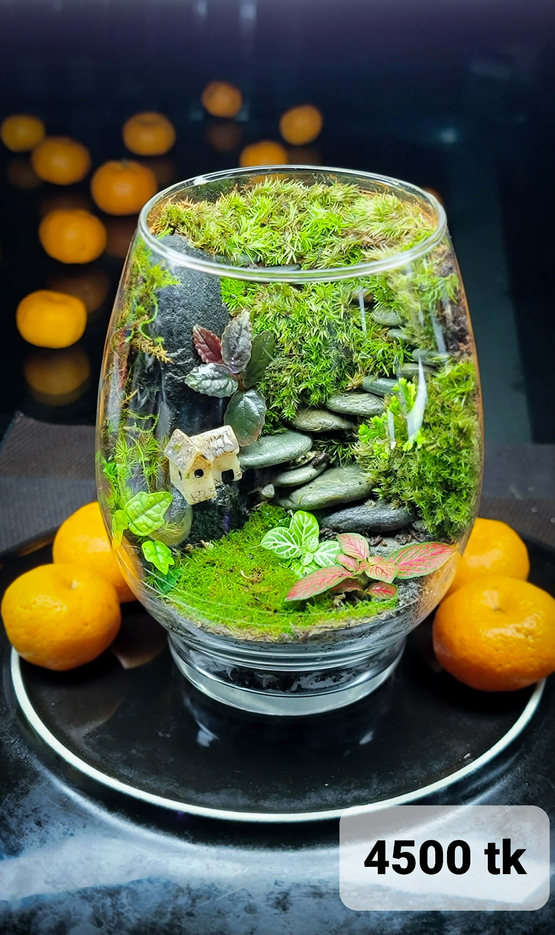 Grand Hillside Terrarium