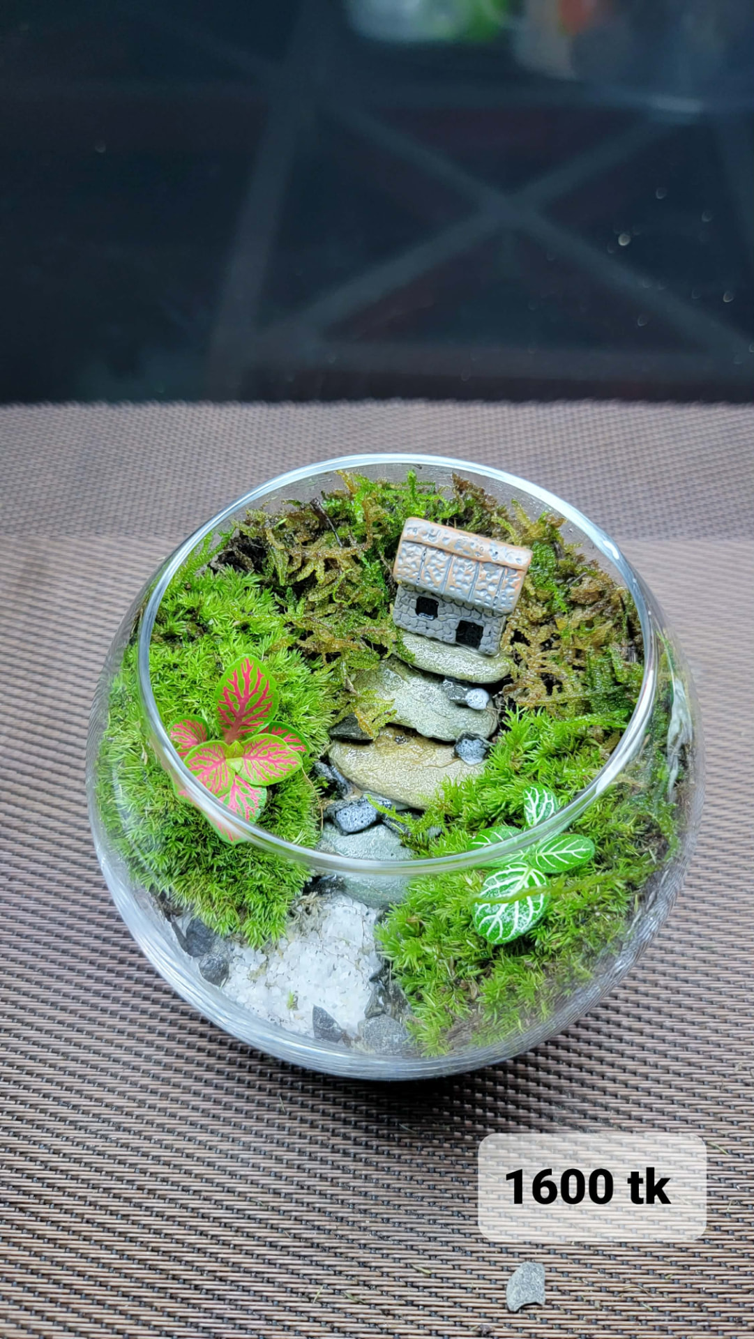 Fairy Cottage Terrarium