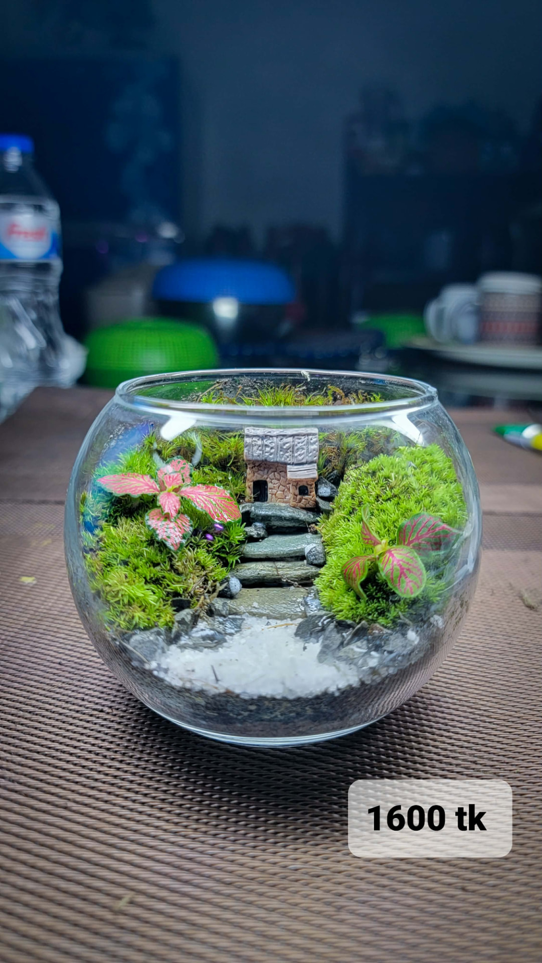 Cottage Stairs Bowl Terrarium