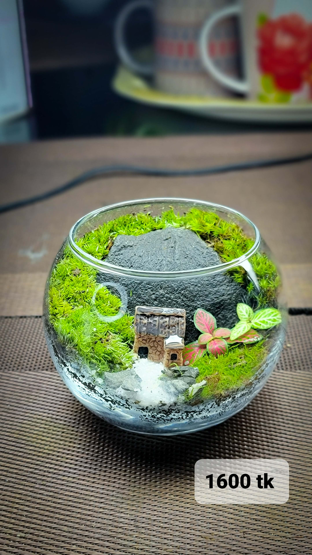 Black Rock Bowl Terrarium