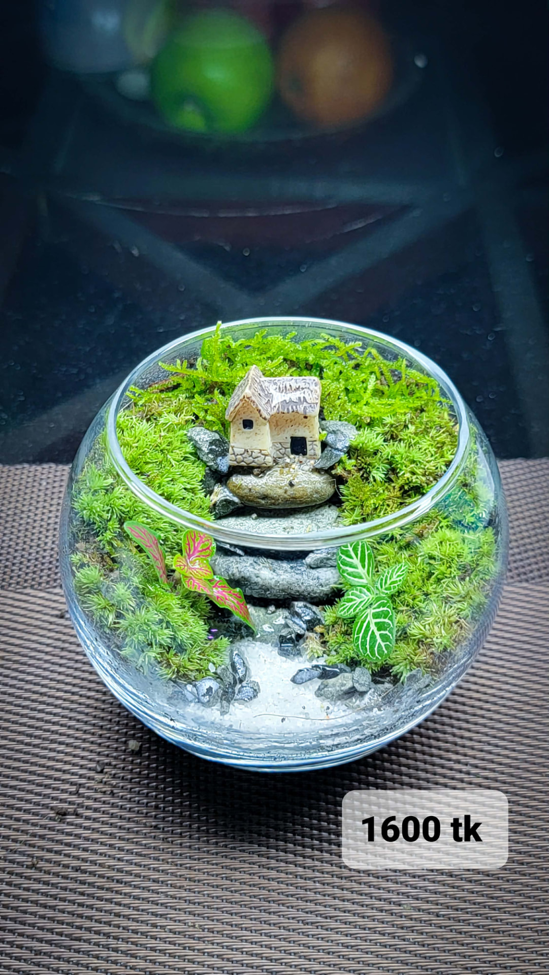 Stone Path Cottage Terrarium