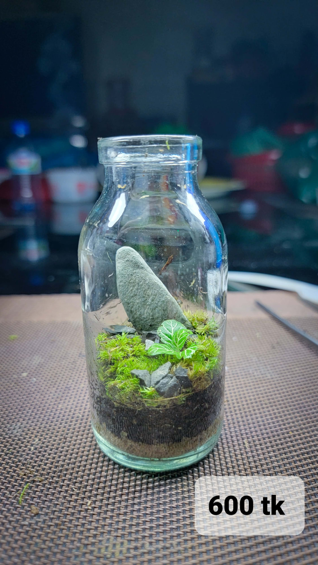 Mini Bottle Terrarium – Standing Stone