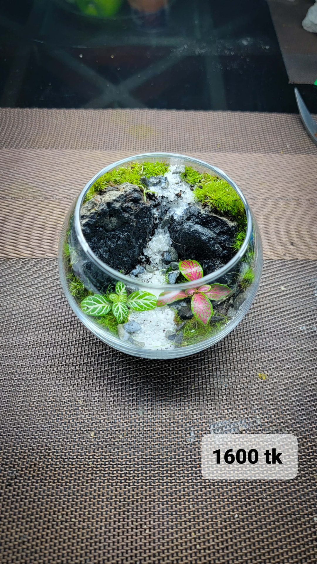 Rockfall Bowl Terrarium