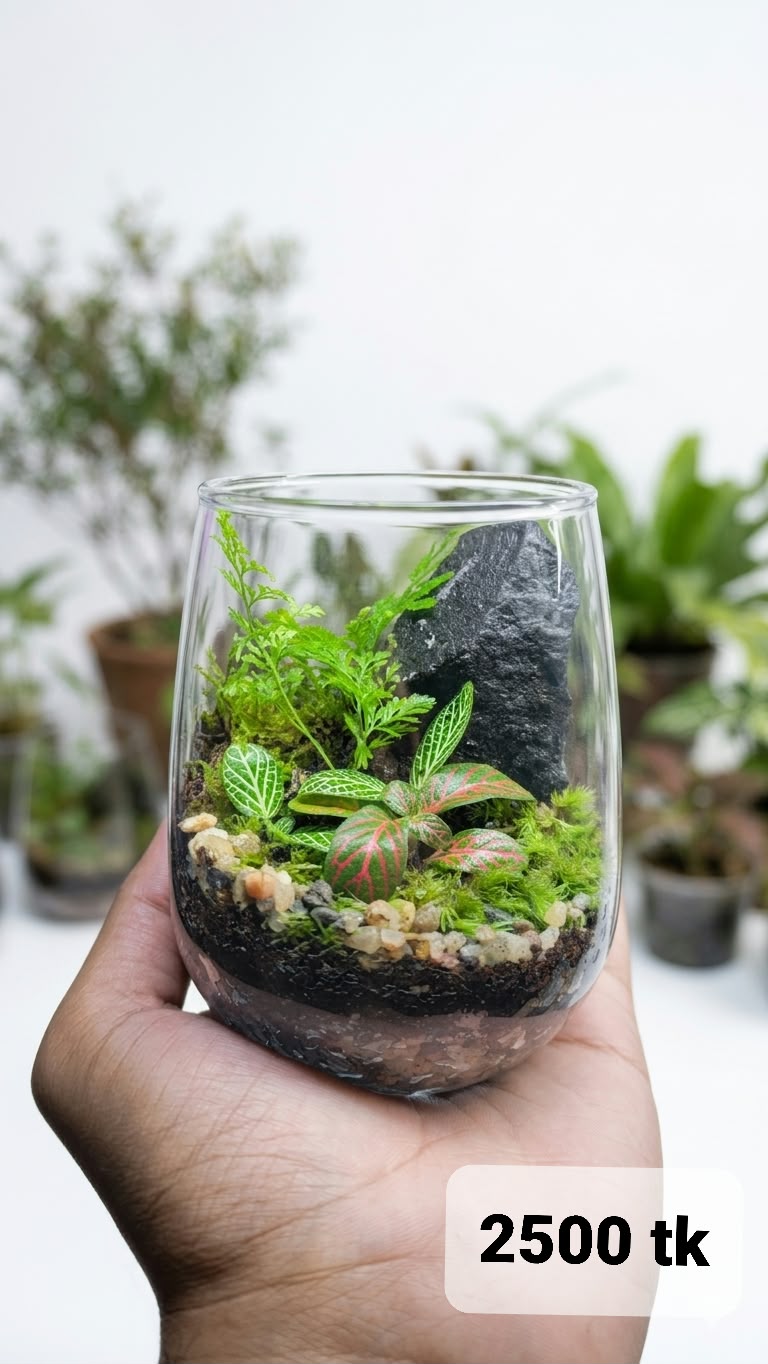 Premium Handheld Glass Terrarium