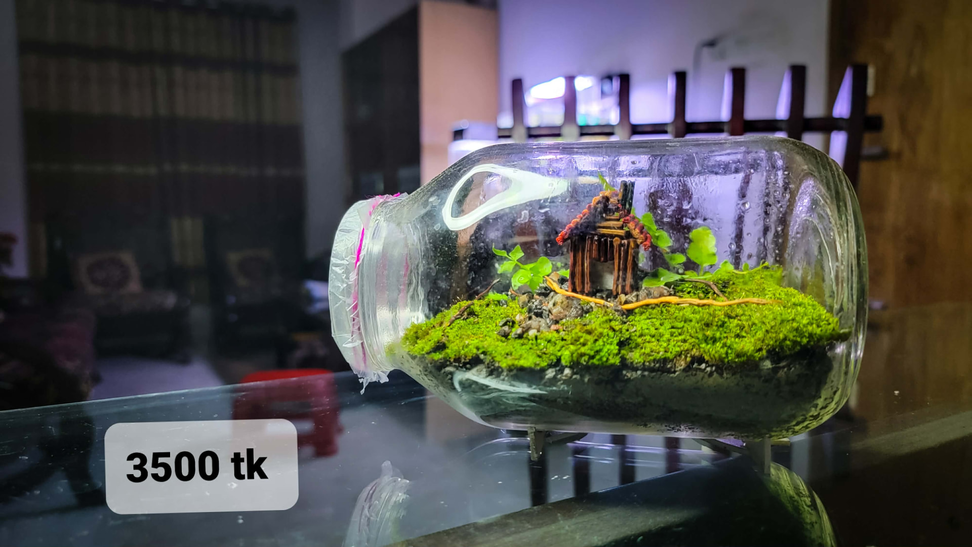 Woodland Cabin Jar Terrarium