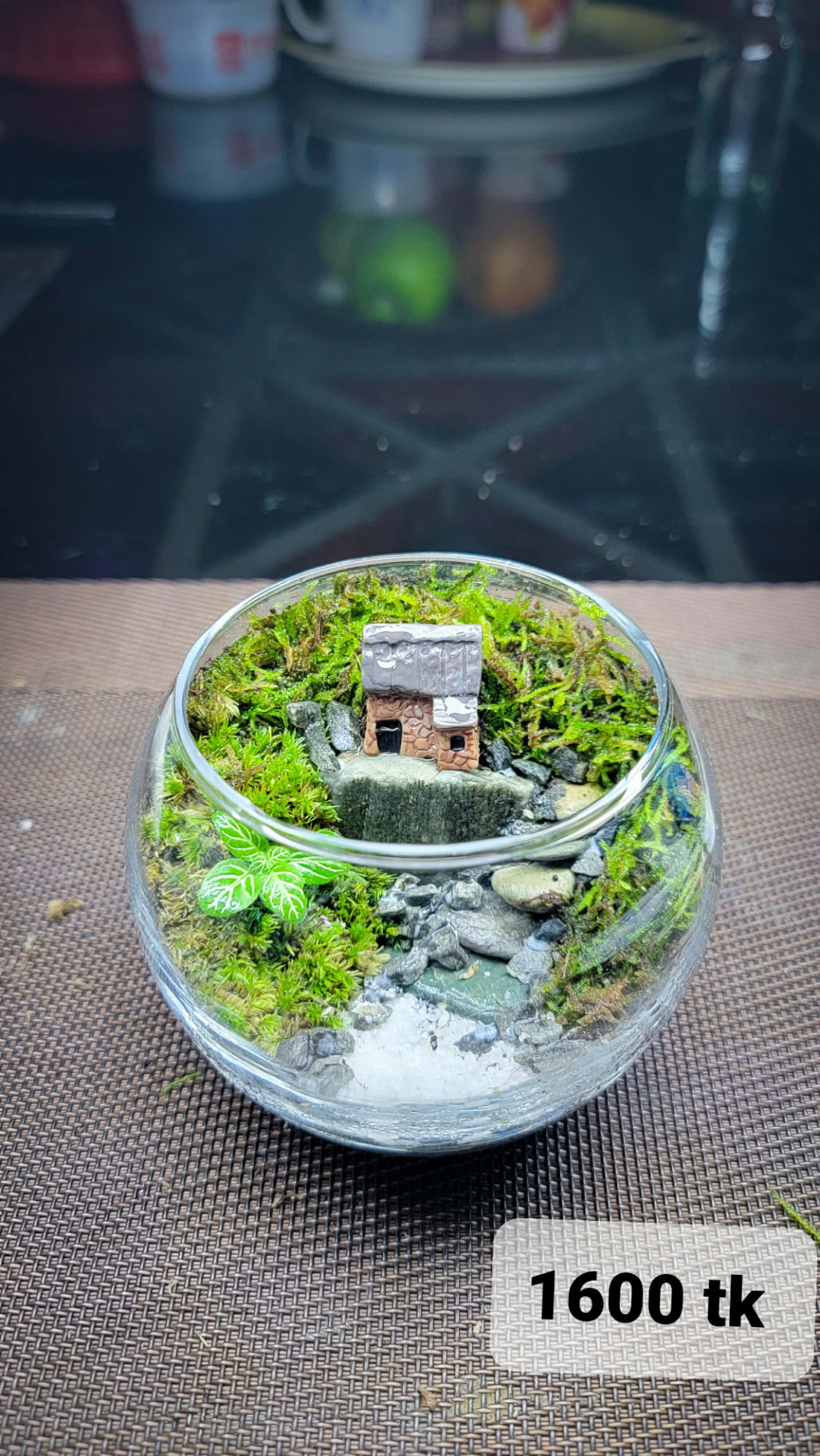 Mini Village Bowl Terrarium