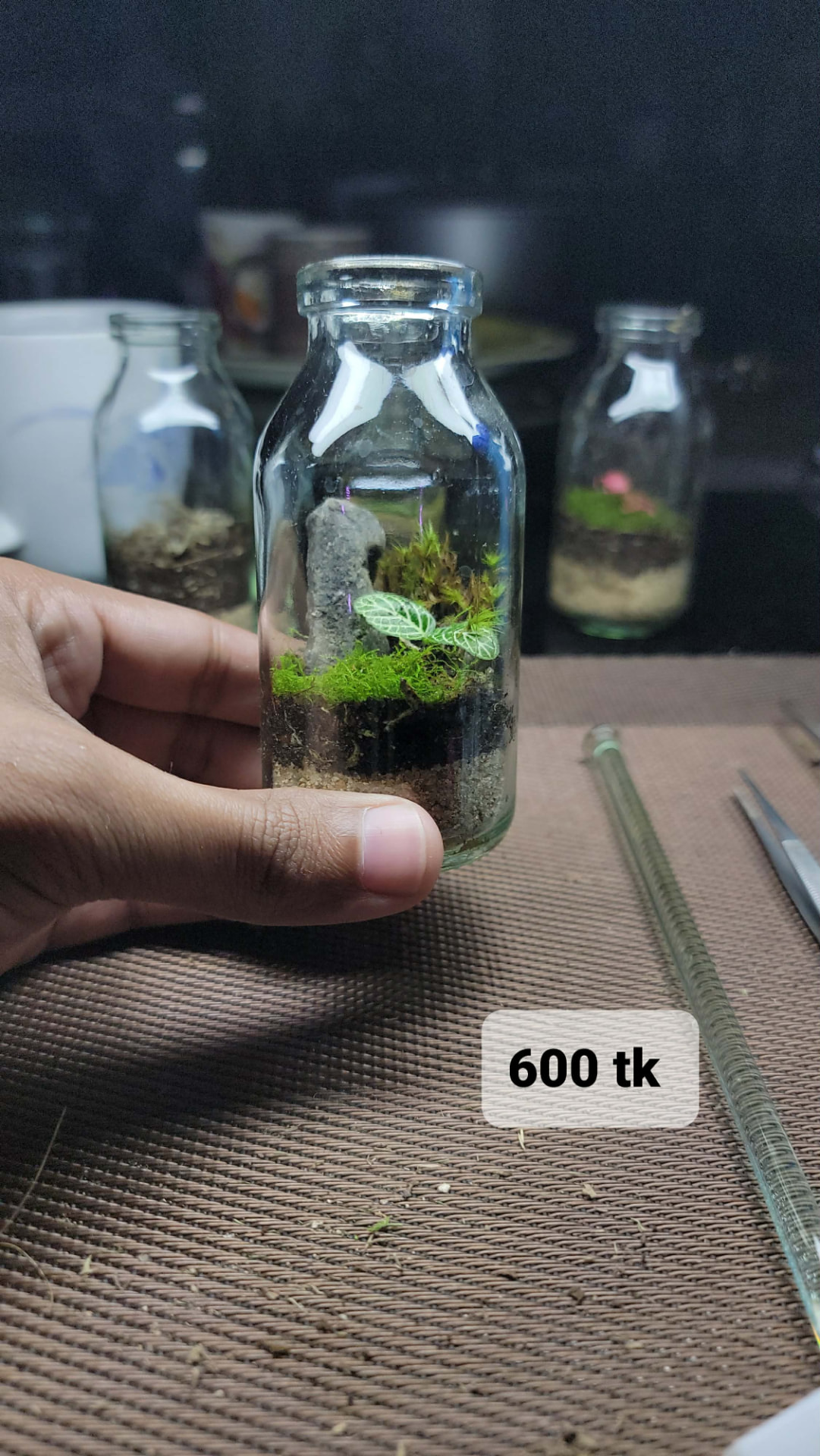 Mini Bottle Terrarium - White Vein